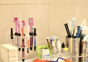 Фото Вуги Фото Вуги