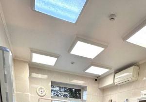 Фото Вуги Фото Вуги