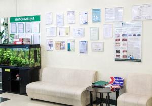 Фото Президент на Новотушинском