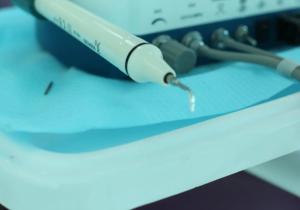 Фото Астерия Фото Астерия