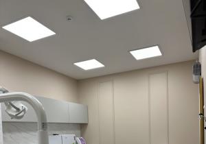 Фото Формула Дент 2